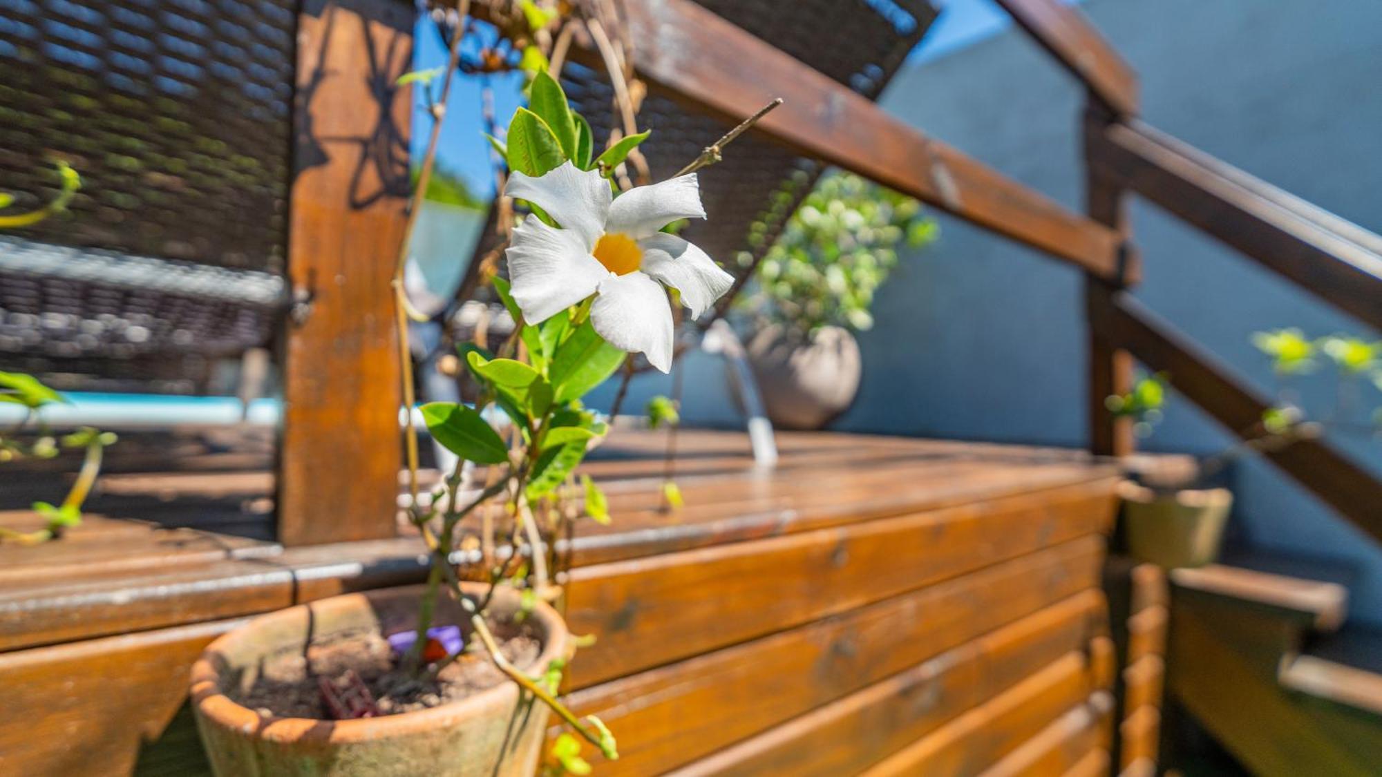 Vila Residencial Com Piscina Possui Jacuzzi Aquecida Com Hidromassagem Bombinhas Exteriér fotografie